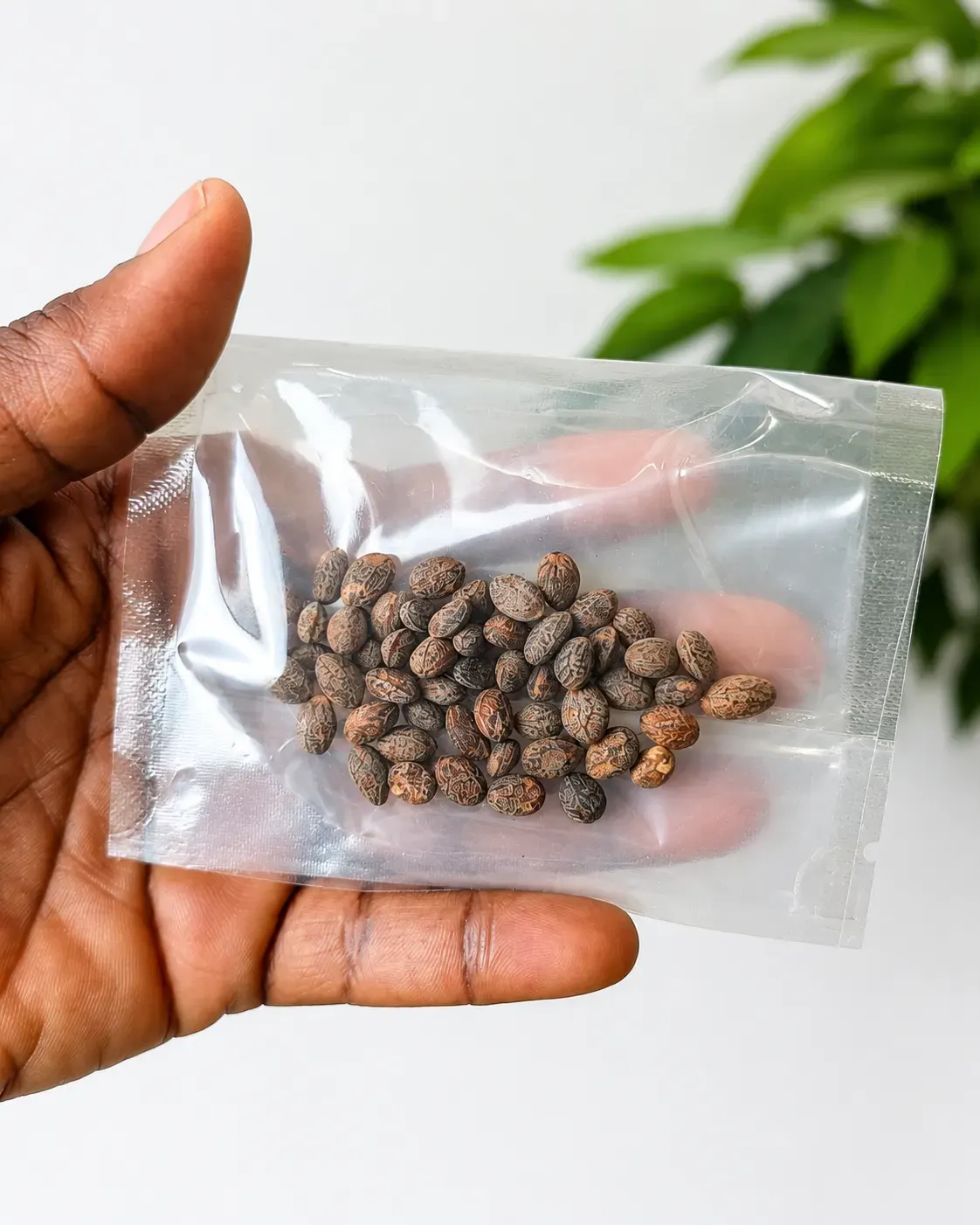 miracle seeds